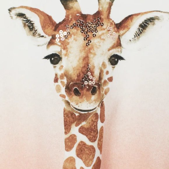 H&M Pink & White Ombre Sweatshirt with Giraffe and Gold Sequins Size 6-8Yrs - Picture 2 of 2